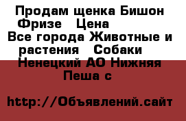 Продам щенка Бишон Фризе › Цена ­ 30 000 - Все города Животные и растения » Собаки   . Ненецкий АО,Нижняя Пеша с.